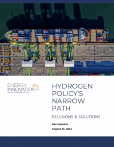 Hydrogen Policy’s Narrow Path: Delusions And Solutions